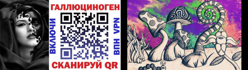 Галлюциногенные грибы Psilocybine cubensis  Феодосия 